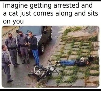 GvW7TZwWIAAtYKN.jpeg