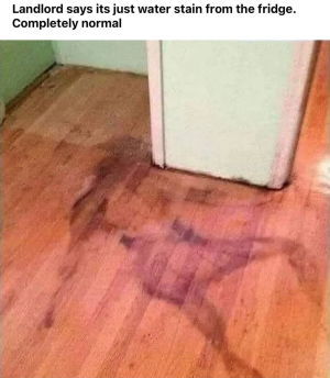 1752143892786.png
