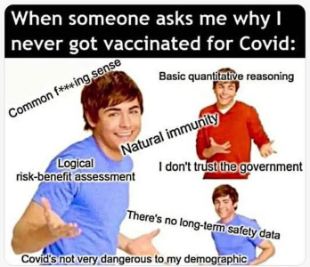 1752342459157.png