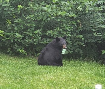 IMG_20250713_072052.jpg