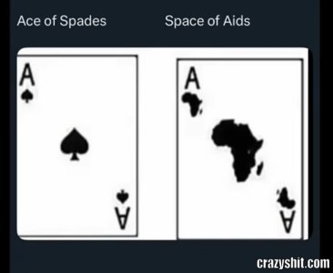 1119394_1752517863031.jpeg