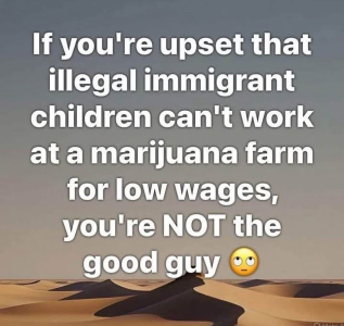 1752801237421.png