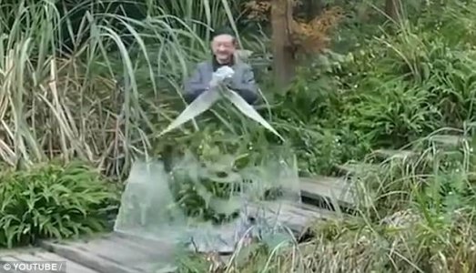 471F761800000578-5160323-image-a-7_1512755019687.jpg