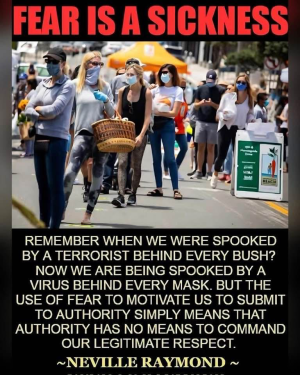 1753206953602.png