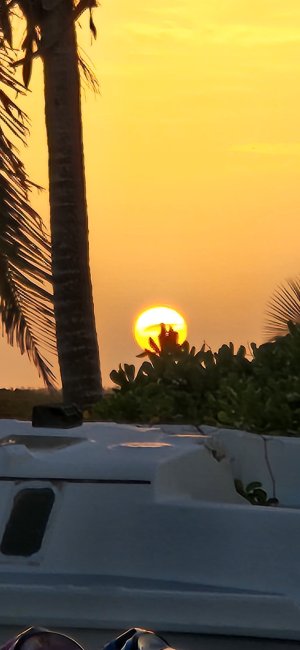 20250723_194704.jpg