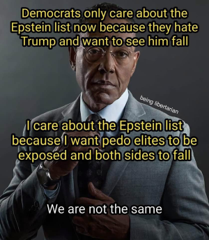1753391455777.png
