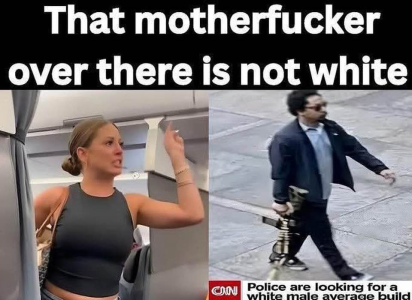 1753816761489.png
