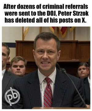 1753817184254.png