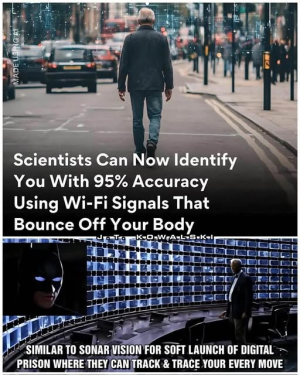 1753817246440.png
