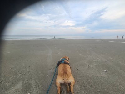 IMG_20250729_203416.jpg