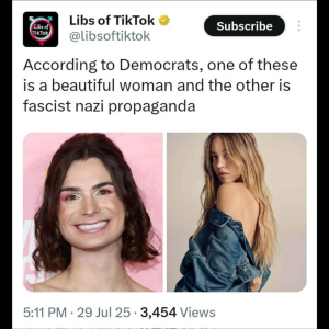 1753982725449.png