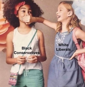 1754247262187.png