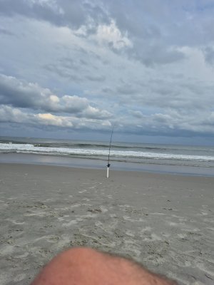 20250803_190336.jpg