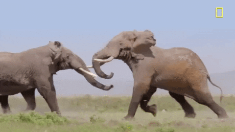 1754276298175.gif