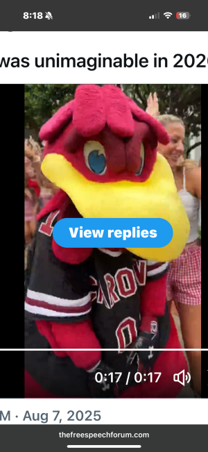IMG_3288.png