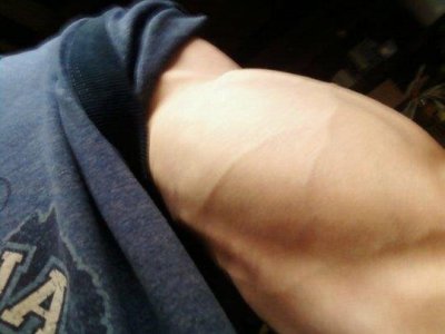 bicep.jpg