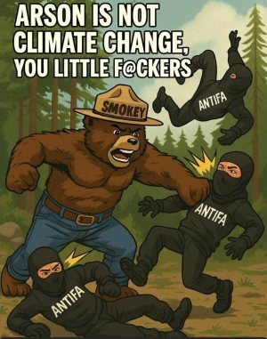 1754761319904.png