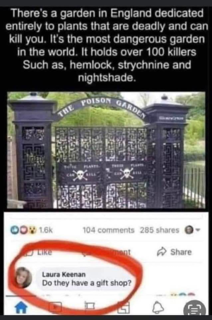 1754850005282.png