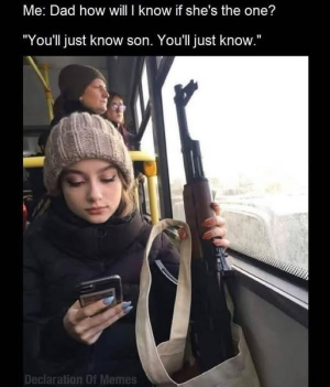 1755017537253.png