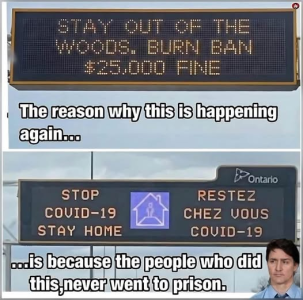 1755017564746.png