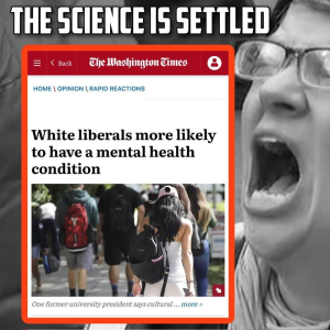1755115104400.png