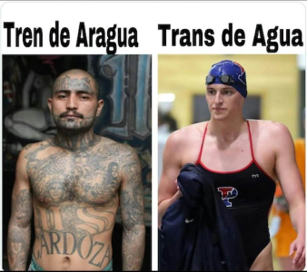 1755229052557.png