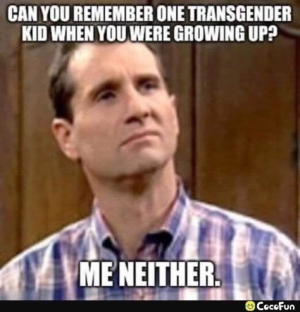 1755370076110.png