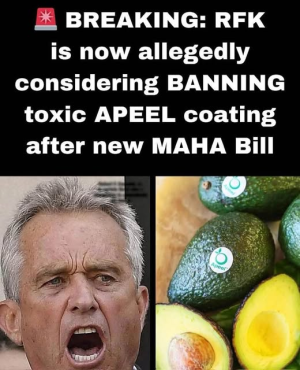 1755370219687.png