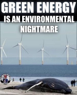 Gy0NPvwWkAA3rWY.jpeg
