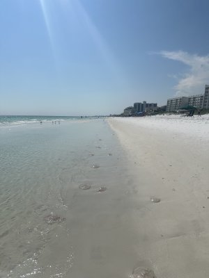 IMG_0901.jpeg