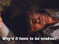 source.gif