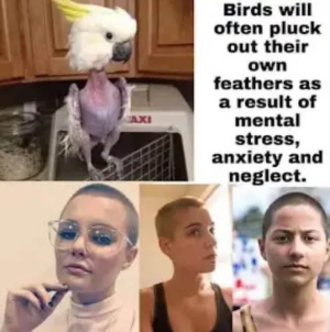 1755786340252.png