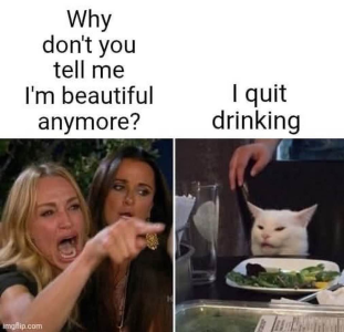 1755966010102.png