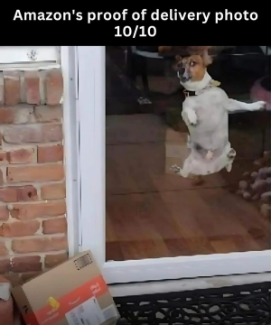 1756214743855.png