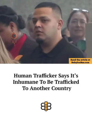 1756401509268.png