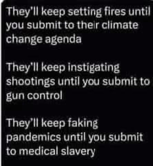 1756753231862.png