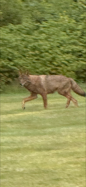 IMG_20250902_120632.png
