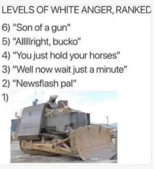 1756833132026.png
