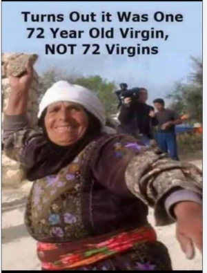 1757102889071.png