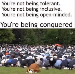 1757264446344.png