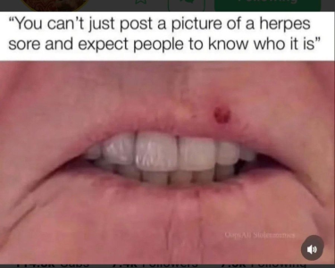 1757956089727.png