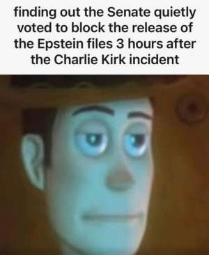 1757976711647.png