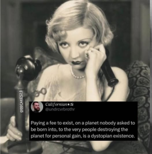 1758127597969.png