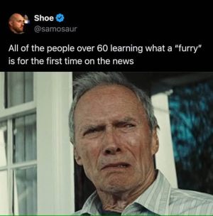 1758127637262.png