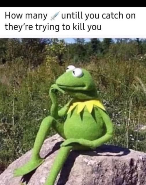 1758127732311.png
