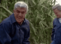 1622747604072.gif