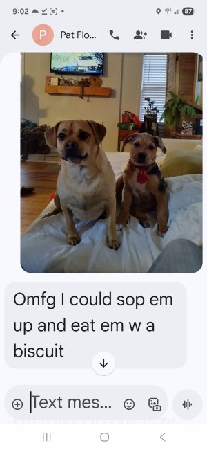 Screenshot_20250925_210257_Messages.jpg