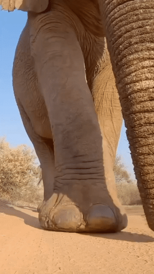 1000016316.gif
