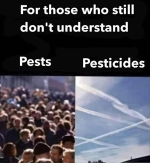1759854708248.png