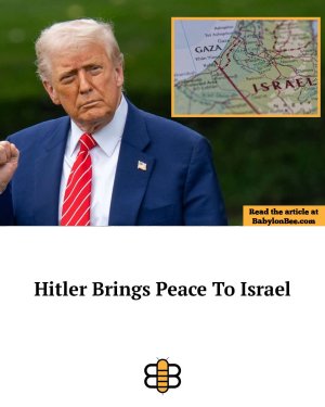 1000000800.jpg